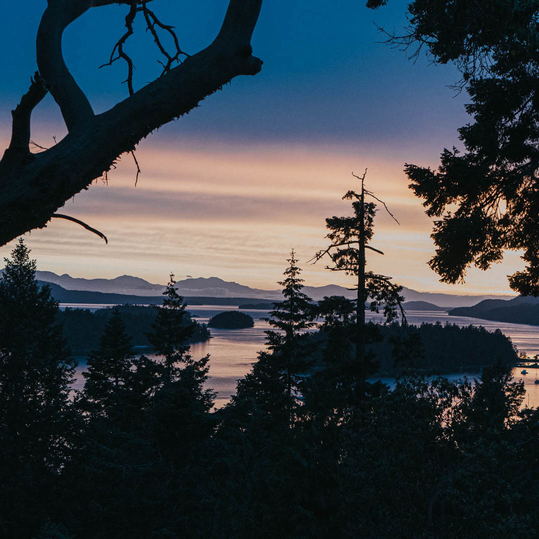 view of water and sunset throigh trees